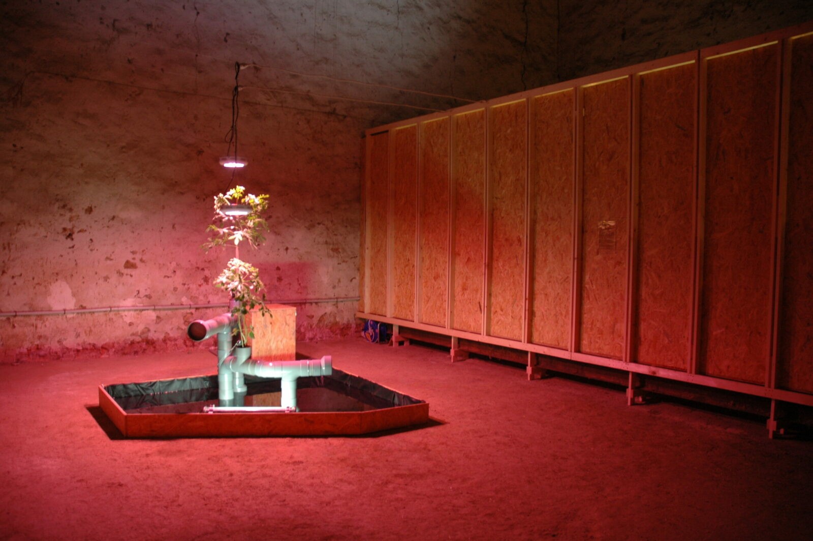 art et sciences (1)